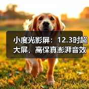 小度光影屏:12.3时超大屏,高保真澎湃音效(图4) 小度光影屏:12.3时超大屏,高保真澎湃音效(图4)