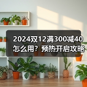 2024双12满300减40怎么用?预热开启攻略全解析(图1) 2024双12满300减40怎么用?预热开启攻略全解析(图1)