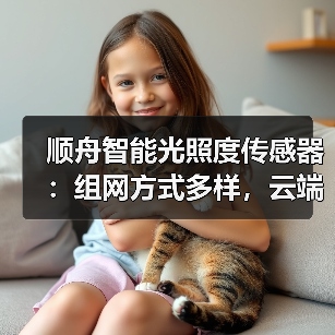 顺舟智能光照度传感器:组网方式多样,云端服务(图4) 顺舟智能光照度传感器:组网方式多样,云端服务(图4)