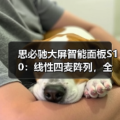 思必驰大屏智能面板S10:线性四麦阵列,全宅智能操控(图4) 思必驰大屏智能面板S10:线性四麦阵列,全宅智能操控(图4)