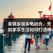 家装家居家电融合，天猫家享生活如何打造确定性增长？(图4)