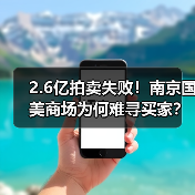 2.6亿拍卖失败！南京国美商场为何难寻买家？ - 辰飞雨易拓智能家居网