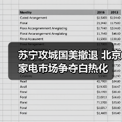 苏宁攻城国美撤退 北京家电市场争夺白热化(图2)