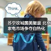 苏宁攻城国美撤退 北京家电市场争夺白热化(图3)