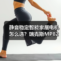 静音稳定智能家居电机怎么选？瑞克斯MP82系列全面解析(图2)