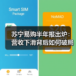 苏宁易购半年报出炉：营收下滑背后如何破局？(图2)
