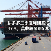 拼多多二季度利润暴增47%，营收超预期500亿(图3)