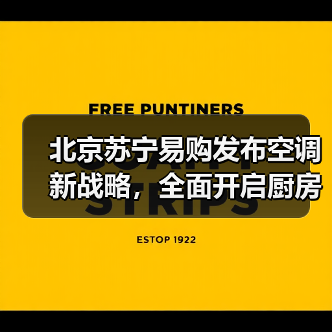 北京苏宁易购发布空调新战略，全面开启厨房空调新产业(图3)