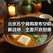 北京苏宁易购发布空调新战略，全面开启厨房空调新产业(图2)