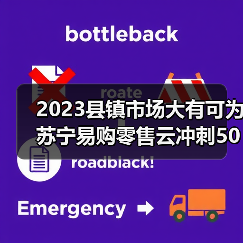 2023县镇市场大有可为 苏宁易购零售云