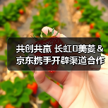 共创共赢 长虹٠美菱＆京东携手开辟渠道合