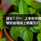 增长7.5%!上半年中国智能音箱线上销量为255.1万台(图3) 增长7.5%!上半年中国智能音箱线上销量为255.1万台(图3)