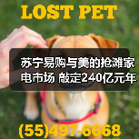 苏宁易购与美的抢滩家电市场 敲定240亿元年度合作(图2) 苏宁易购与美的抢滩家电市场 敲定240亿元年度合作(图2)