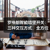 罗格朗智能墙壁开关：三种交互方式，全方位控制(图2)