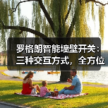 罗格朗智能墙壁开关：三种交互方式，全方位控制(图4)