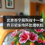 北京苏宁易购双十一绿色节能家电环比增长超120%(图4) 北京苏宁易购双十一绿色节能家电环比增长超120%(图4)
