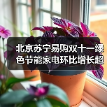 北京苏宁易购双十一绿色节能家电环比增长超120%(图3) 北京苏宁易购双十一绿色节能家电环比增长超120%(图3)