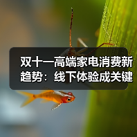 双十一高端家电消费新趋势:线下体验成关键(图4) 双十一高端家电消费新趋势:线下体验成关键(图4)