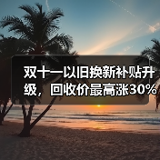 双十一以旧换新补贴升级,回收价最高涨30%(图2) 双十一以旧换新补贴升级,回收价最高涨30%(图2)