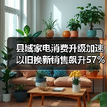 县域家电消费升级加速 以旧换新销售飙升57%(图4) 县域家电消费升级加速 以旧换新销售飙升57%(图4)