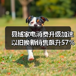 县域家电消费升级加速 以旧换新销售飙升57%(图1) 县域家电消费升级加速 以旧换新销售飙升57%(图1)