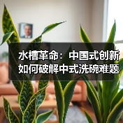 水槽革命：中国式创新如何破解中式洗碗难题(图1)