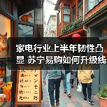 家电行业上半年韧性凸显 苏宁易购如何升级线下场景价值？(图4)