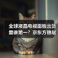 全球液晶电视面板出货量谁第一?京东方稳居首位(图1) 全球液晶电视面板出货量谁第一?京东方稳居首位(图1)