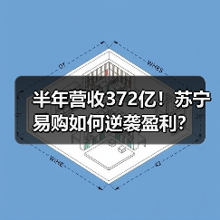半年营收372亿!苏宁易购如何逆袭盈利?(图4) 半年营收372亿!苏宁易购如何逆袭盈利?(图4)