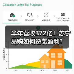 半年营收372亿!苏宁易购如何逆袭盈利?(图2) 半年营收372亿!苏宁易购如何逆袭盈利?(图2)