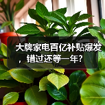 大牌家电百亿补贴爆发,错过还等一年?(图2) 大牌家电百亿补贴爆发,错过还等一年?(图2)
