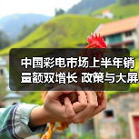 中国彩电市场上半年销量额双增长 政策与大屏需求驱动(图1) 中国彩电市场上半年销量额双增长 政策与大屏需求驱动(图1)