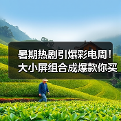 暑期热剧引爆彩电周!大小屏组合成爆款你买了吗?(图4) 暑期热剧引爆彩电周!大小屏组合成爆款你买了吗?(图4)