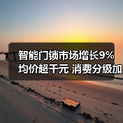 智能门锁市场增长9% 均价超千元 消费分级加速(图1) 智能门锁市场增长9% 均价超千元 消费分级加速(图1)