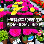 杜亚智能车载遮阳篷电机DM45DM：独立双电子控制(图3)
