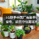 LG联手中国厂商推平价家电,能否守住高端市场?(图4) LG联手中国厂商推平价家电,能否守住高端市场?(图4)