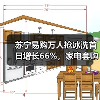 苏宁易购万人抢冰洗首日增长66%,家电套购趋势凸显(图3) 苏宁易购万人抢冰洗首日增长66%,家电套购趋势凸显(图3)