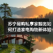 苏宁易购私享家服务如何打造家电购物新体验(图2)