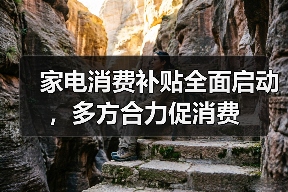家电消费补贴全面启动,多方合力促消费(图1) 家电消费补贴全面启动,多方合力促消费(图1)