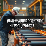 低增长周期如何打造企业韧性护城河？(图1)