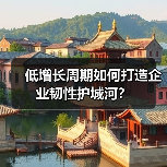 低增长周期如何打造企业韧性护城河？(图3)