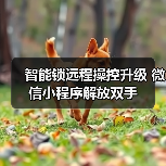 智能锁远程操控升级 微信小程序解放双手(图2) 智能锁远程操控升级 微信小程序解放双手(图2)