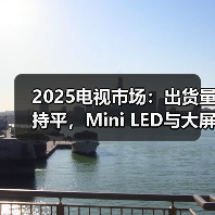 2025电视市场：出货量持平，Mini LED与大屏或成增长引擎？(图4)
