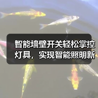 智能墙壁开关轻松掌控灯具,实现智能照明新体验(图1) 智能墙壁开关轻松掌控灯具,实现智能照明新体验(图1)