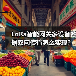 LoRa智能网关多设备数据双向传输怎么实