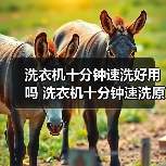 洗衣机十分钟速洗好用吗 洗衣机十分钟速洗原理【详解】(图3) 洗衣机十分钟速洗好用吗 洗衣机十分钟速洗原理【详解】(图3)