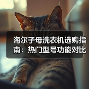 海尔子母洗衣机选购指南:热门型号功能对比(图4) 海尔子母洗衣机选购指南:热门型号功能对比(图4)