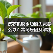 洗衣机脱水功能失灵怎么办?常见原因及解决方法(图4) 洗衣机脱水功能失灵怎么办?常见原因及解决方法(图4)