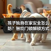 孩子独自在家安全怎么防?智能门锁解锁方式全解析(图2) 孩子独自在家安全怎么防?智能门锁解锁方式全解析(图2)
