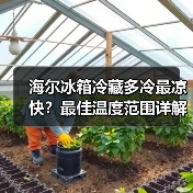 海尔冰箱冷藏多冷最凉快?最佳温度范围详解(图2) 海尔冰箱冷藏多冷最凉快?最佳温度范围详解(图2)
